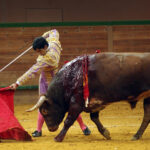 Arnedo - Novillada - Feria Zapato de Oro - Sábado 29 de septiembre de 2018