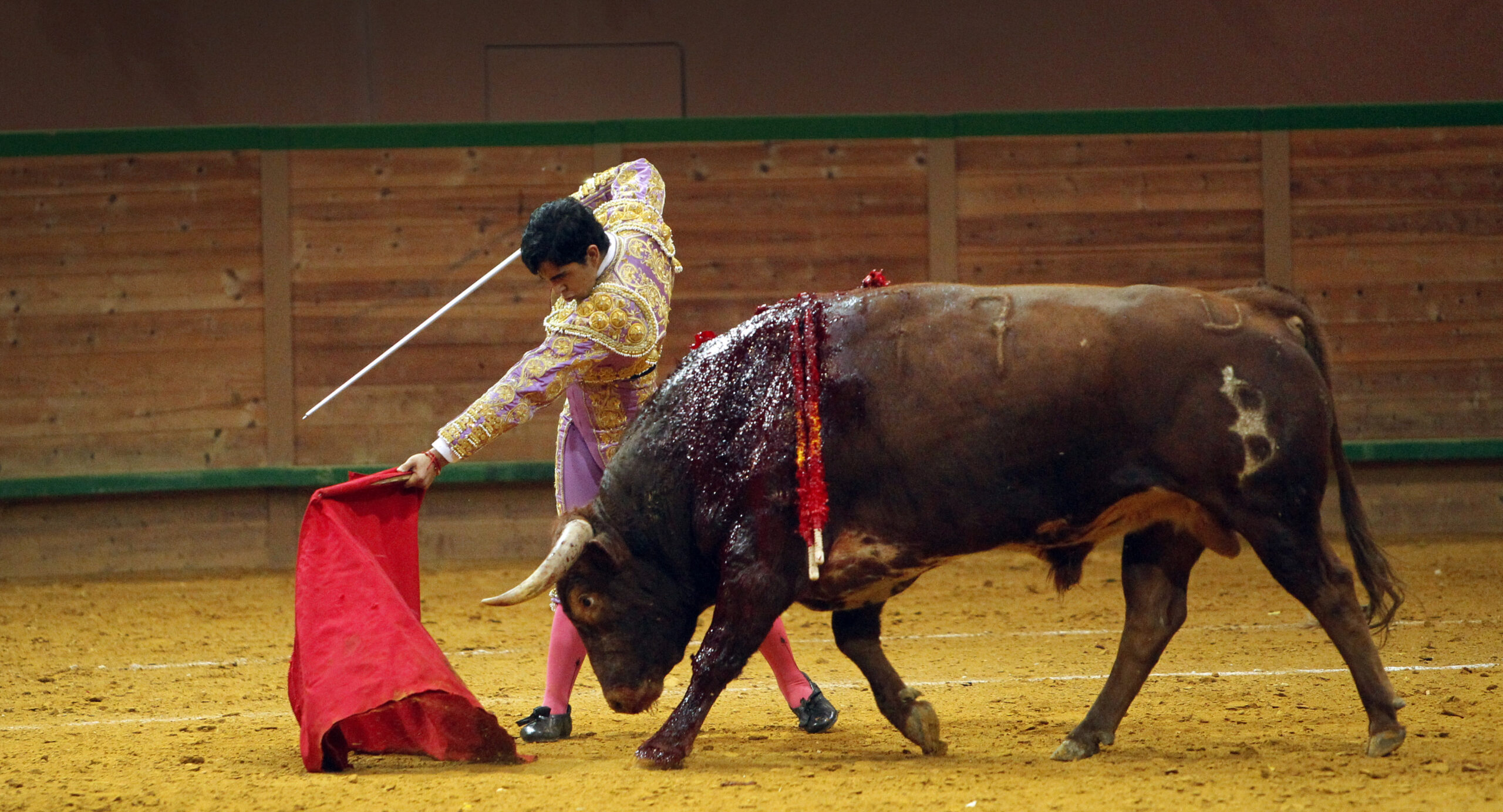 Arnedo - Novillada - Feria Zapato de Oro - Sábado 29 de septiembre de 2018