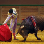 Arnedo - Novillada - Feria Zapato de Oro - Sábado 29 de septiembre de 2018