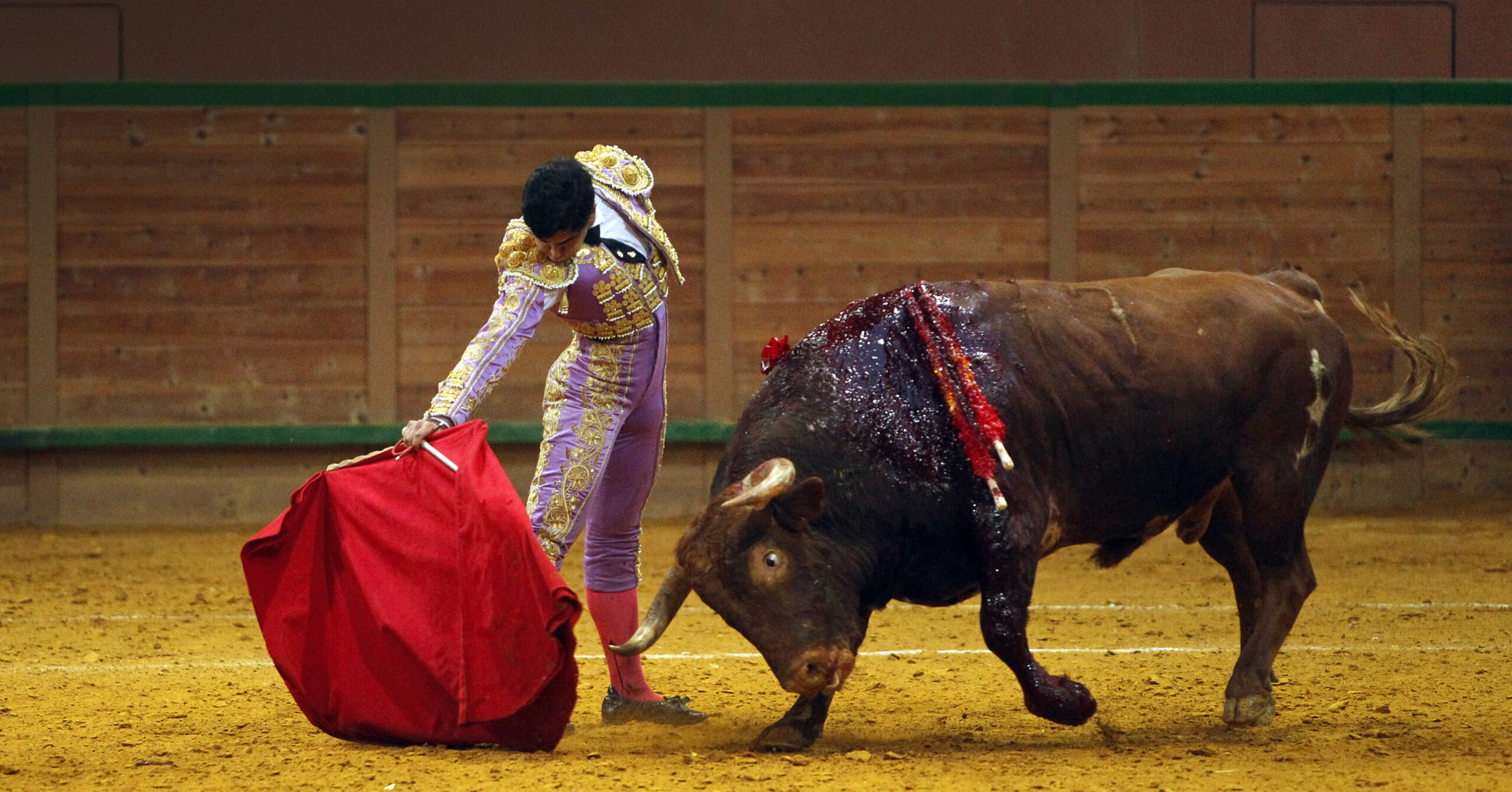 Arnedo - Novillada - Feria Zapato de Oro - Sábado 29 de septiembre de 2018