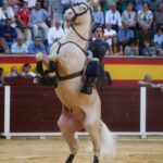 Villacarrillo, 15 de septiembre de 2018