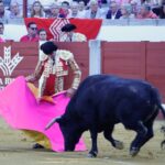 Pozoblanco, 22 de septiembre de 2018