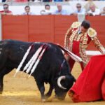 Pozoblanco, 22 de septiembre de 2018