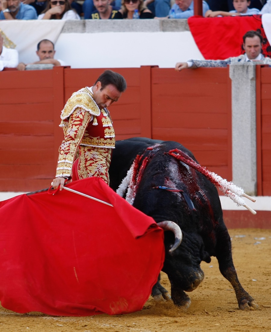 Pozoblanco, 22 de septiembre de 2018
