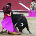 Requena - Corrida de toros - Sábado 1 de septiembre de 2018
