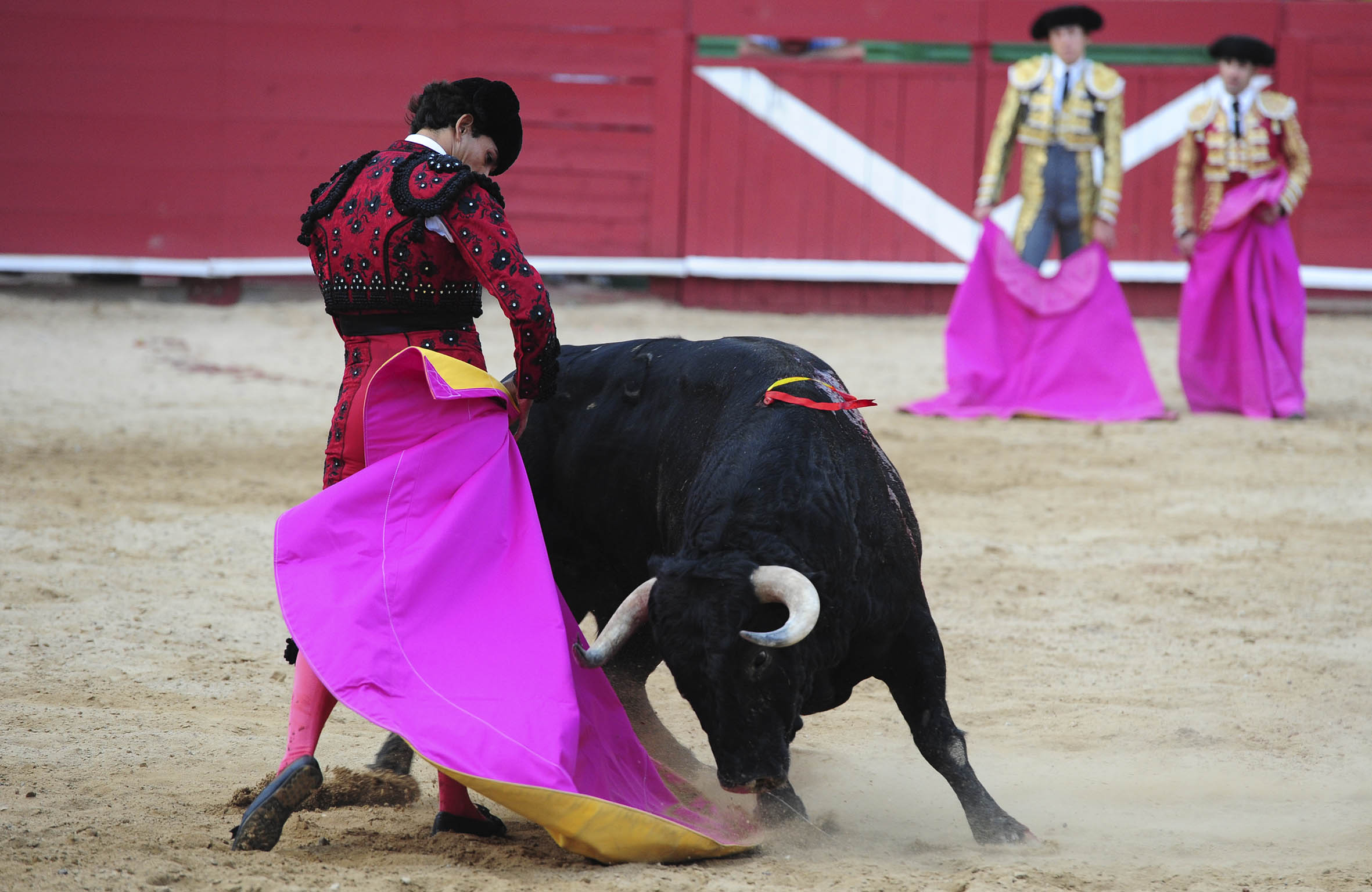 Requena - Corrida de toros - Sábado 1 de septiembre de 2018