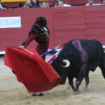 Requena - Corrida de toros - Sábado 1 de septiembre de 2018