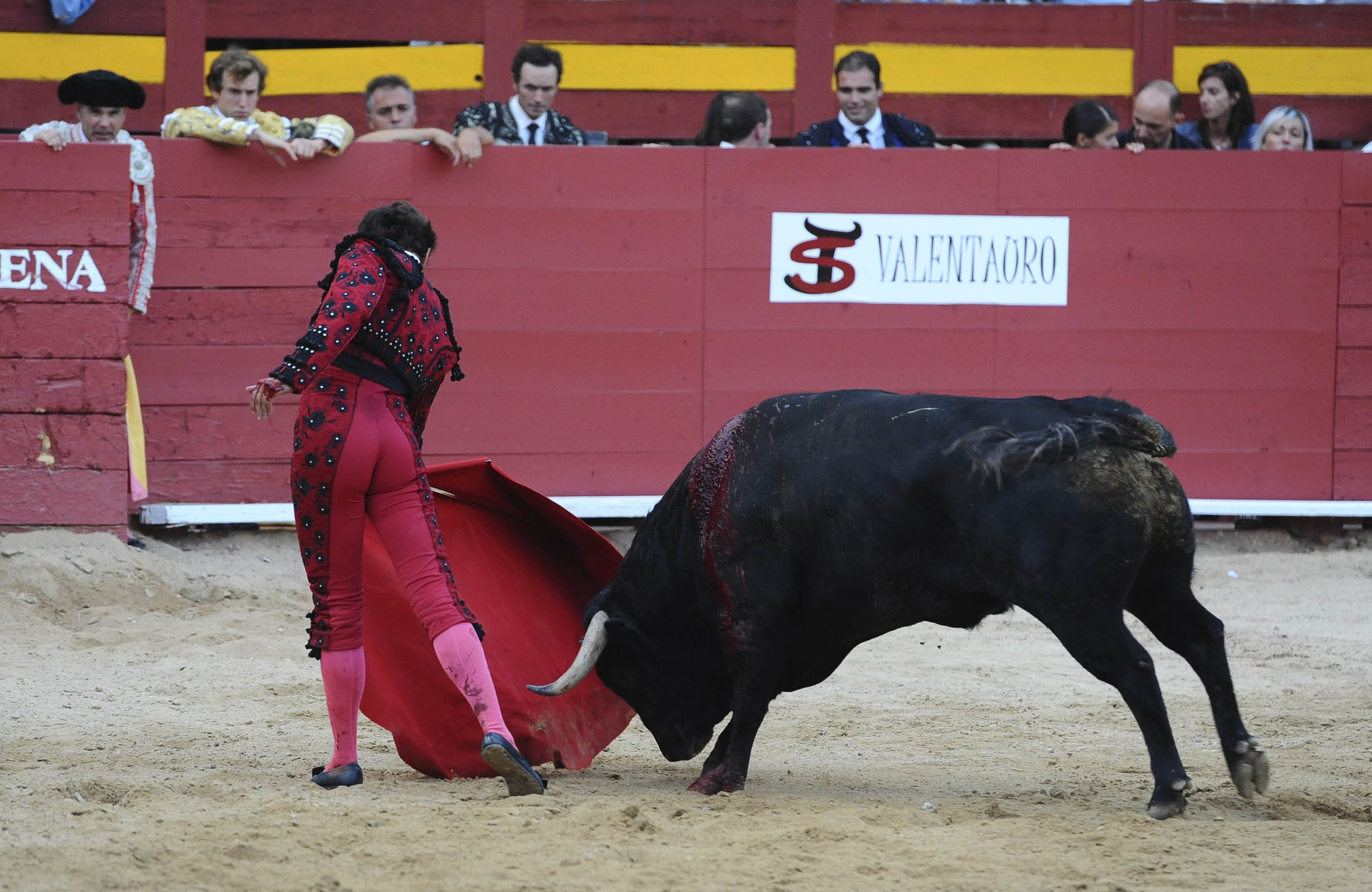 Requena - Corrida de toros - Sábado 1 de septiembre de 2018