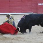 Requena - Corrida de toros - Sábado 1 de septiembre de 2018