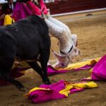 Bayona(Francia) - Cogida de Román - Domingo 2 de septiembre de 2018