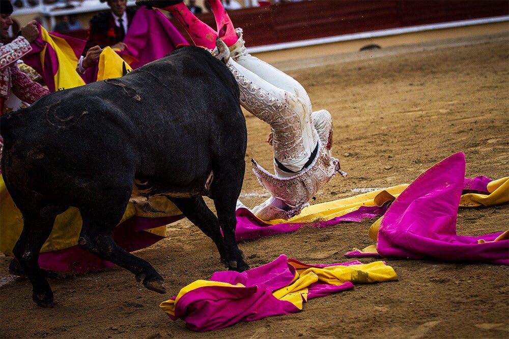 Bayona(Francia) - Cogida de Román - Domingo 2 de septiembre de 2018