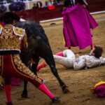 Bayona(Francia) - Cogida de Román - Domingo 2 de septiembre de 2018