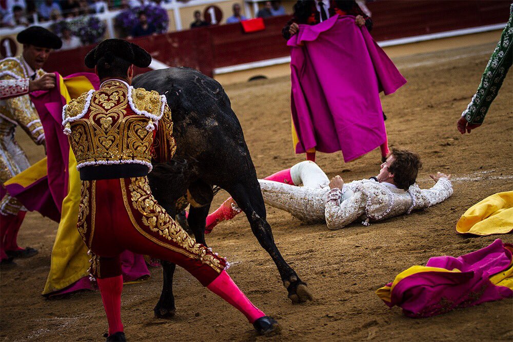 Bayona(Francia) - Cogida de Román - Domingo 2 de septiembre de 2018