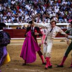 Bayona(Francia) - Cogida de Román - Domingo 2 de septiembre de 2018
