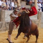Ronda (Málaga) - Corrida Goyesca - Sábado 1 de septiembre de 2018