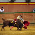 Arnedo - Novillada - Feria Zapato de Oro - Sábado 29 de septiembre de 2018