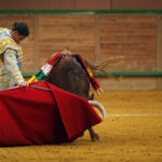 Arnedo - Novillada - Feria Zapato de Oro - Sábado 29 de septiembre de 2018