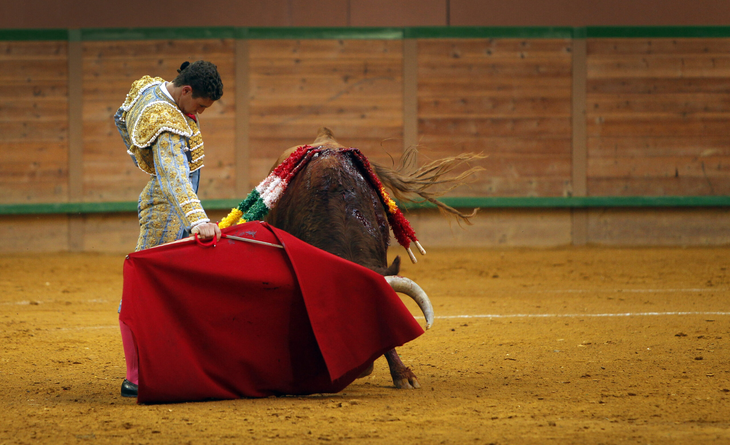 Arnedo - Novillada - Feria Zapato de Oro - Sábado 29 de septiembre de 2018