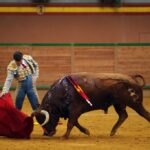 Arnedo - Novillada - Feria Zapato de Oro - Sábado 29 de septiembre de 2018