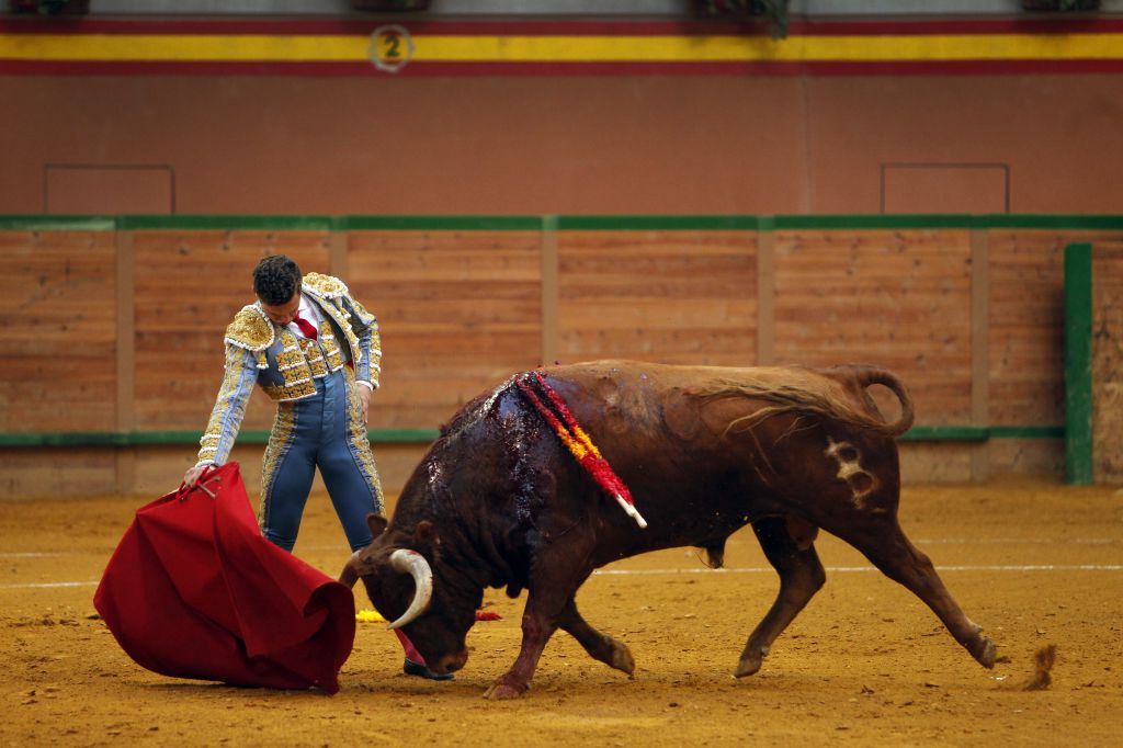 Arnedo - Novillada - Feria Zapato de Oro - Sábado 29 de septiembre de 2018