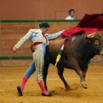 Arnedo - Novillada - Feria Zapato de Oro - Sábado 29 de septiembre de 2018