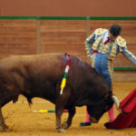 Arnedo - Novillada - Feria Zapato de Oro - Sábado 29 de septiembre de 2018
