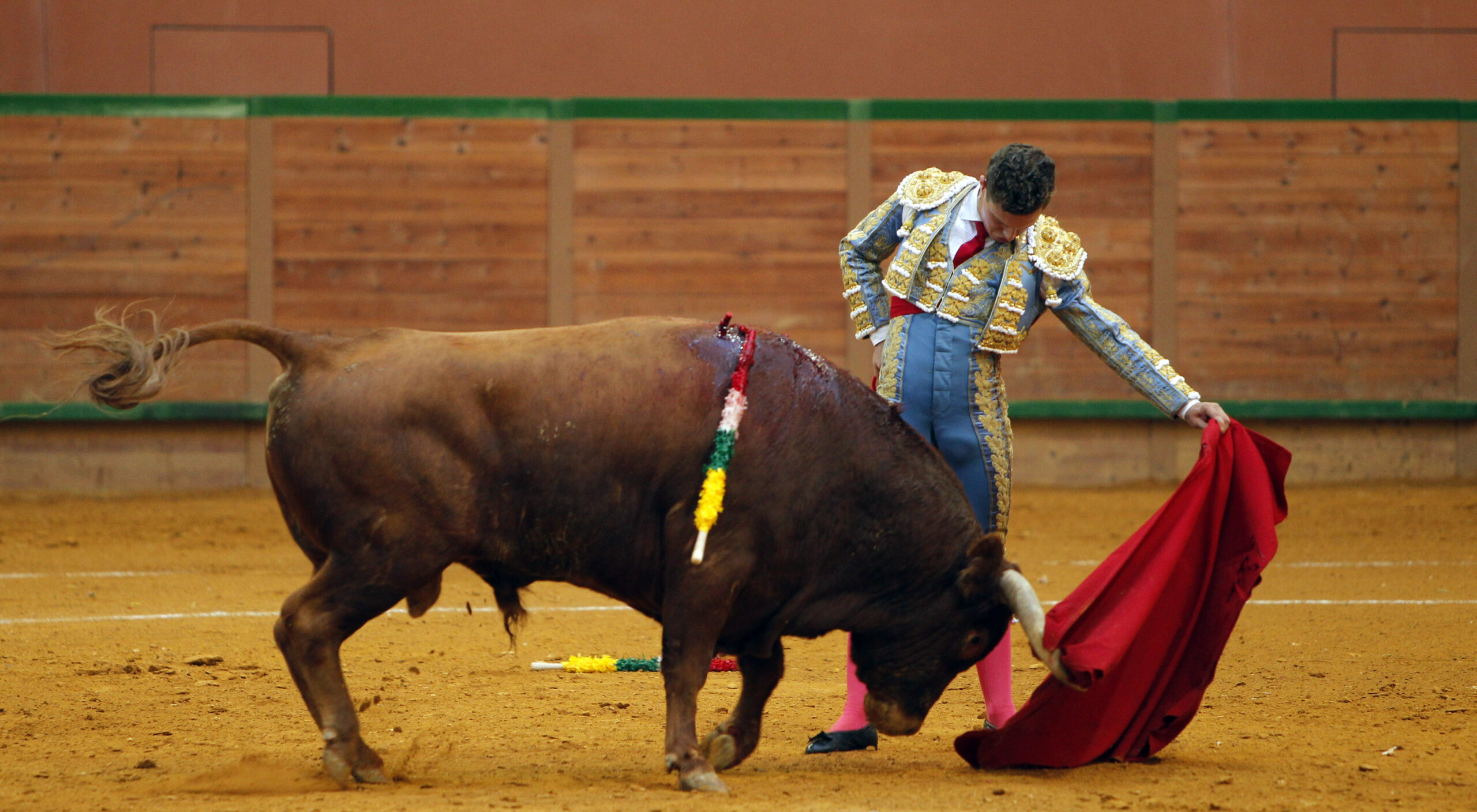 Arnedo - Novillada - Feria Zapato de Oro - Sábado 29 de septiembre de 2018