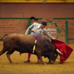 Arnedo - Novillada - Feria Zapato de Oro - Sábado 29 de septiembre de 2018