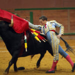 Arnedo - Novillada - Feria Zapato de Oro - Sábado 29 de septiembre de 2018