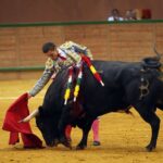 Arnedo - Novillada - Feria Zapato de Oro - Sábado 29 de septiembre de 2018
