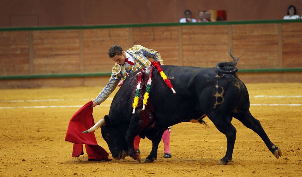 Arnedo - Novillada - Feria Zapato de Oro - Sábado 29 de septiembre de 2018