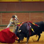 Arnedo - Novillada - Feria Zapato de Oro - Sábado 29 de septiembre de 2018