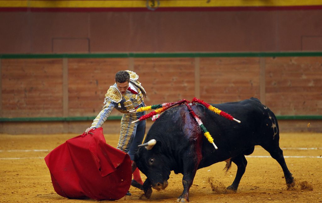 Arnedo - Novillada - Feria Zapato de Oro - Sábado 29 de septiembre de 2018