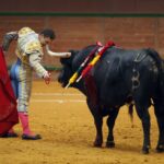 Arnedo - Novillada - Feria Zapato de Oro - Sábado 29 de septiembre de 2018