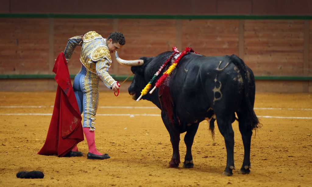Arnedo - Novillada - Feria Zapato de Oro - Sábado 29 de septiembre de 2018