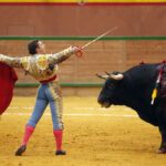 Arnedo - Novillada - Feria Zapato de Oro - Sábado 29 de septiembre de 2018
