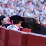 Sevilla - Novillada picada - Domingo 28 de septiembre de 2018