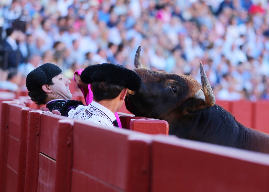 Sevilla - Novillada picada - Domingo 28 de septiembre de 2018