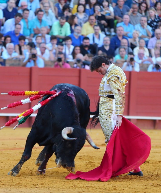 Sevilla - Novillada picada - Domingo 28 de septiembre de 2018
