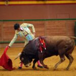 Arnedo - Novillada - Feria Zapato de Oro - Sábado 29 de septiembre de 2018