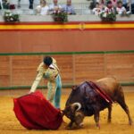 Arnedo - Novillada - Feria Zapato de Oro - Sábado 29 de septiembre de 2018