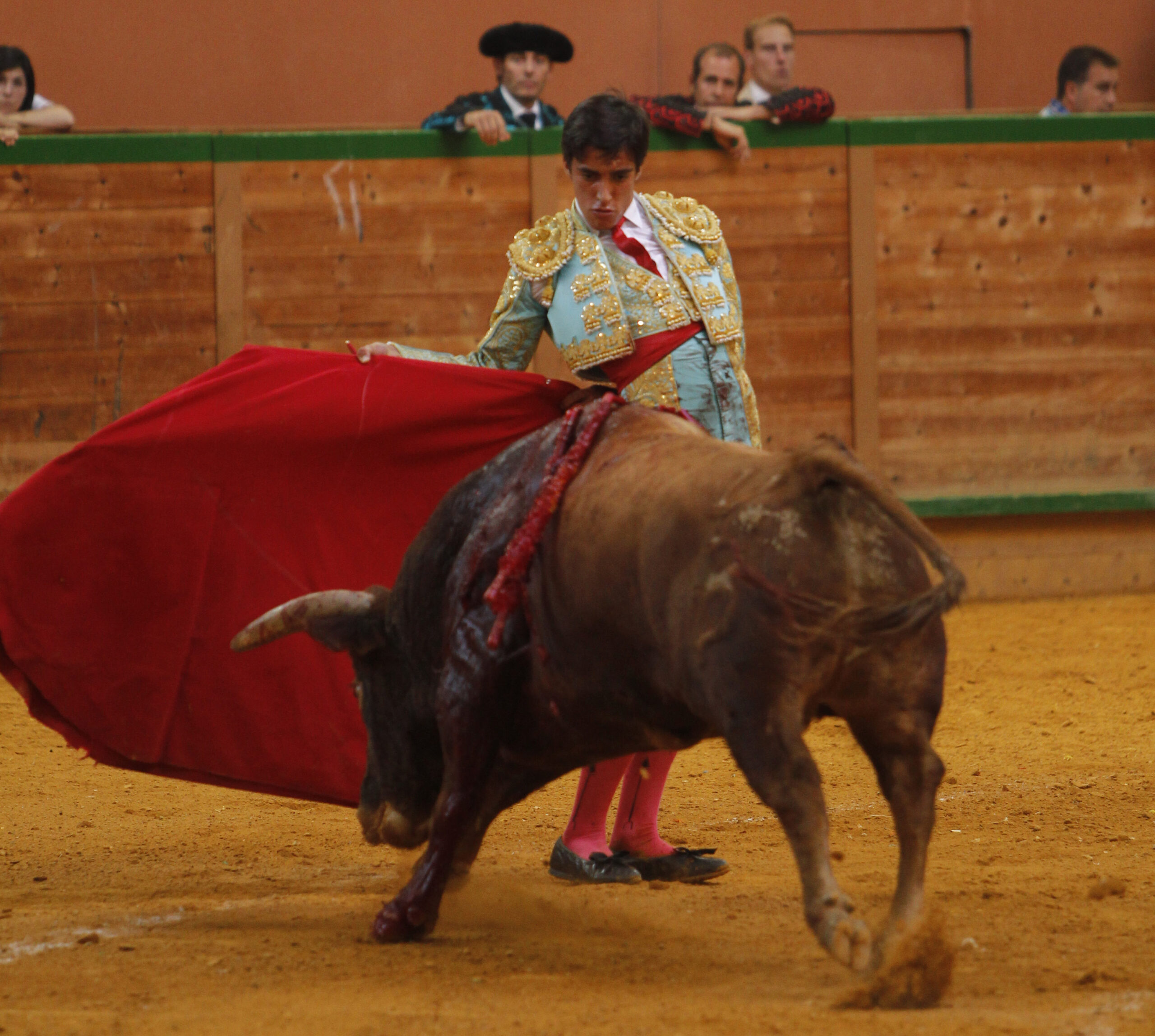 Arnedo - Novillada - Feria Zapato de Oro - Sábado 29 de septiembre de 2018