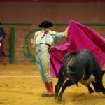 Arnedo - Novillada - Feria Zapato de Oro - Sábado 29 de septiembre de 2018