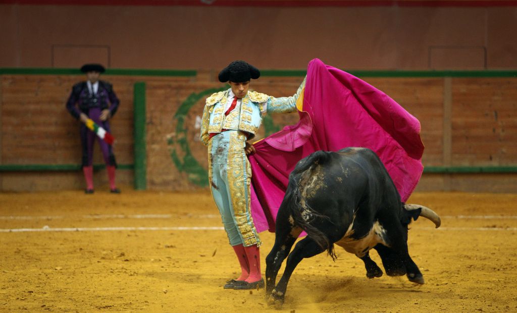 Arnedo - Novillada - Feria Zapato de Oro - Sábado 29 de septiembre de 2018