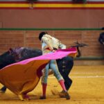 Arnedo - Novillada - Feria Zapato de Oro - Sábado 29 de septiembre de 2018