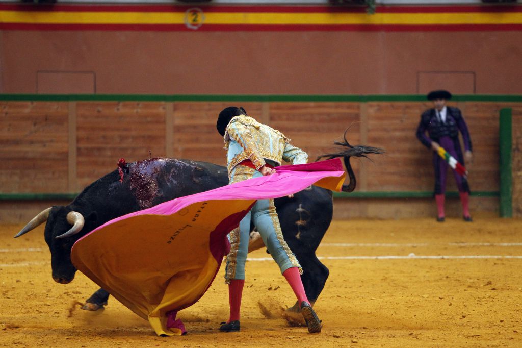 Arnedo - Novillada - Feria Zapato de Oro - Sábado 29 de septiembre de 2018