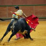 Arnedo - Novillada - Feria Zapato de Oro - Sábado 29 de septiembre de 2018