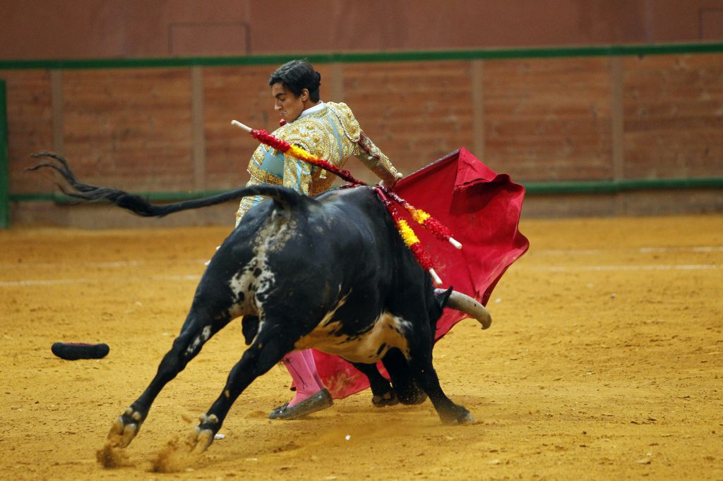 Arnedo - Novillada - Feria Zapato de Oro - Sábado 29 de septiembre de 2018