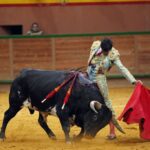 Arnedo - Novillada - Feria Zapato de Oro - Sábado 29 de septiembre de 2018