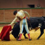 Arnedo - Novillada - Feria Zapato de Oro - Sábado 29 de septiembre de 2018